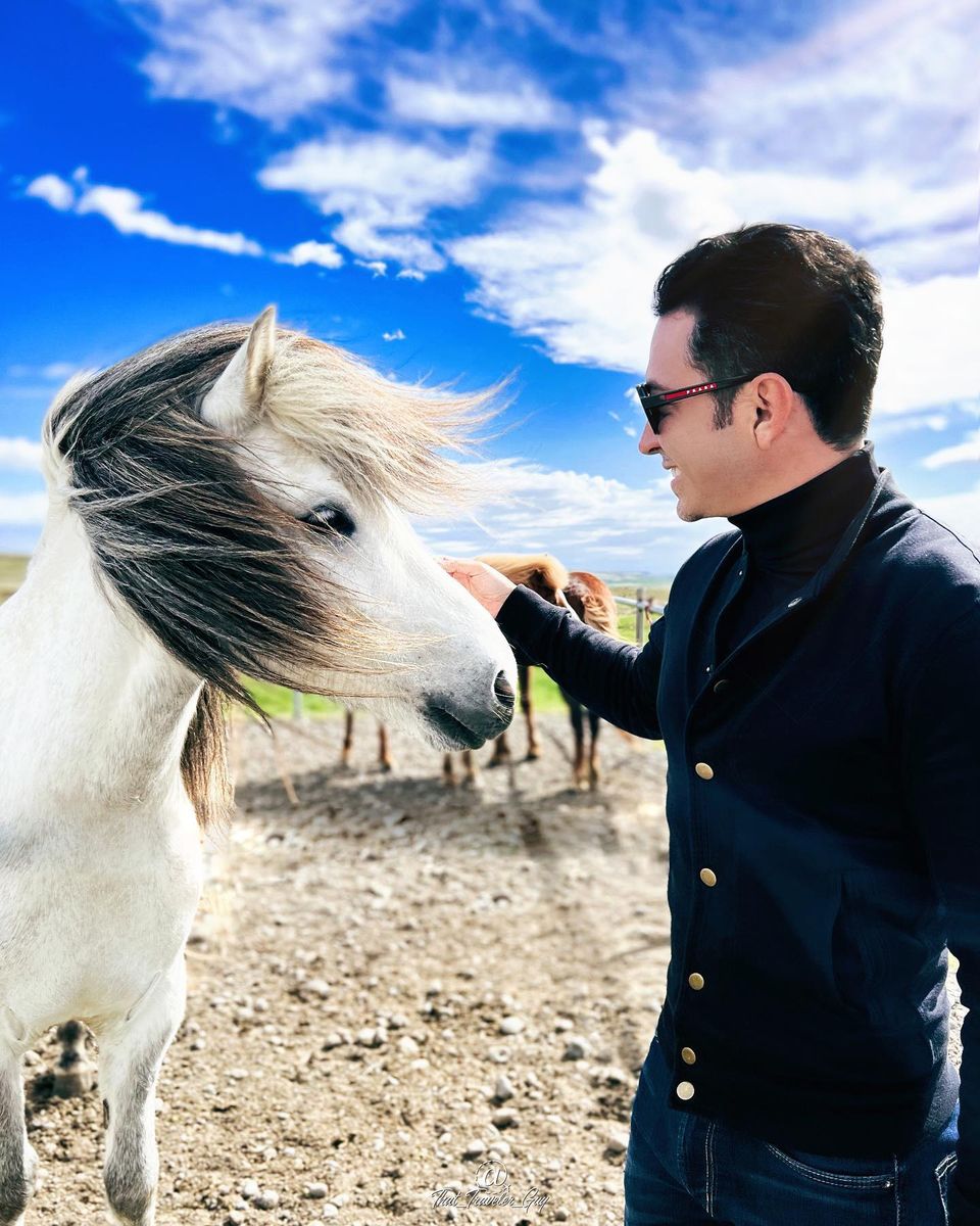 Chris caressant un cheval islandais blanc